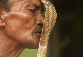 Индия: Женитьба мужчины на змее сорвалась