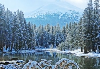 Әлем әдебиеті "королі" Шекспир және оның  "Ромео мен Джульеттасы" туралы (1-бөлім)