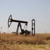 Күллі әлемде мұнай кені сирек табылатын болды