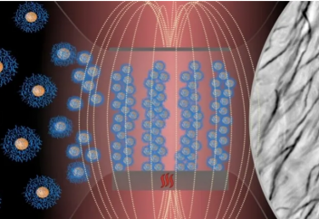 Искусственные реснички создали с помощью магнита. Mожет ли мозг, выращенный в лаборатории, обладать сознанием?