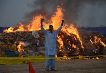 Тәліптер есірткі өсіруге тыйым салды