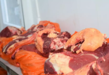 Соғымды қай уақытта сою керек