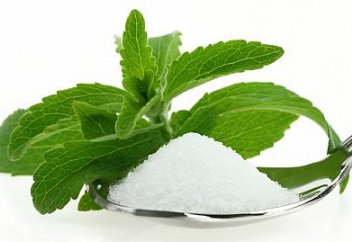 Cтуденттер жылыжайда қант диабетіне қарсы дәрілік өсімдіктер өсіруде (фото)