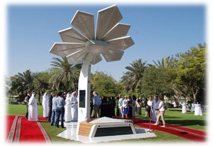 «Умные пальмы» установлены в Дубае