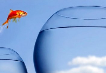 За пределами компетенции: как расширить зону комфорта