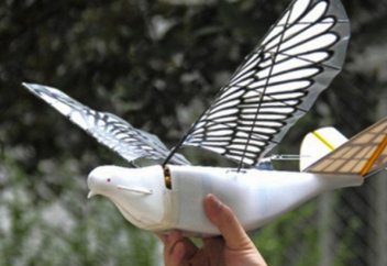 Мұсылмандарды байқатпай аңду үшін құс түріндегі дрон ұшырылады (фото+видео)