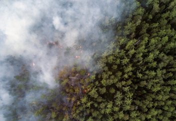 «Потушить человеческими силами это нереально»: эколог Александр Колотов о лесных пожарах в Сибири (Open Democracy. Великобритания)