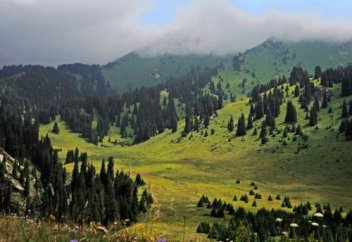 ЖЕР КОДЕКСІНЕ ЕНГІЗІЛЕТІН ӨЗГЕРІСТЕР