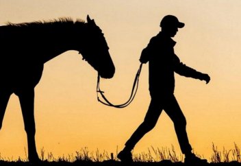 В каких случаях скотокрадство будет переходить в разряд тяжких преступлений в РК