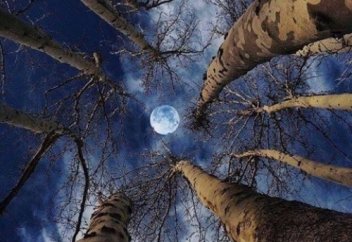 Надежда Ивановна: Аздап орысша үйреніп алдым...