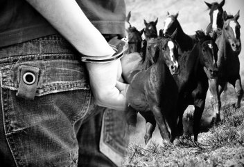 Елімізде мал ұрлығы жазасы қатаңдатылды