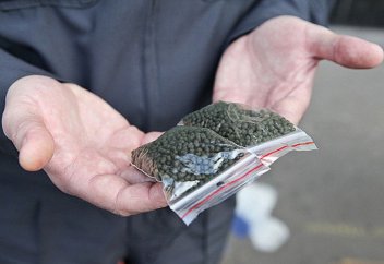 Насыбай атқандар қылмыстық жауапкершілікке тартылуы мүмкін