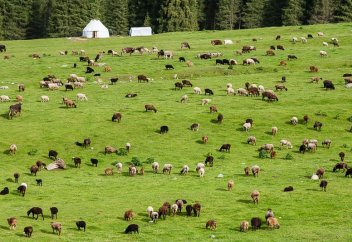 Үш жылда жаздық жайылымдарда 1400-ге жуық су құдығы қазылды