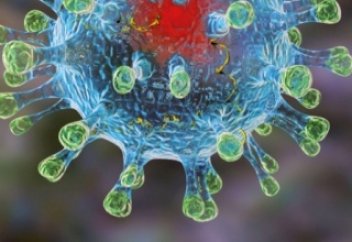 Наш брат о коронавирусе в Италии.