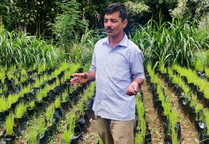 Индийский фермер мусульман создал живой музей риса и выращивает 120 сортов манго