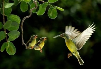 РИЗЫҒЫМ КӨП БОЛСЫН ДЕСЕҢІЗ...