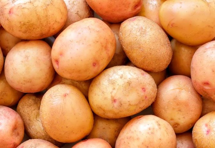 Казахстанские ученые вывели новый сорт картофеля