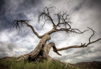 Разное: Катаклизмы за неделю с 3 по 9 января 2020 (видео)