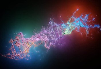 Х-хромосомасының құпиясы ашылды (видео)