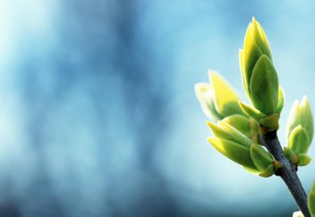 Айна­ла­мыз­да бо­лып  жат­қан қай­та ті­рі­лу­дің үл­гі­ле­рі