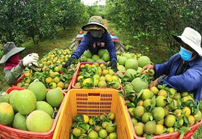 Вьетнам потратит почти $470 млрд на развитие сельских районов и сокращение бедности в следующем десятилетии