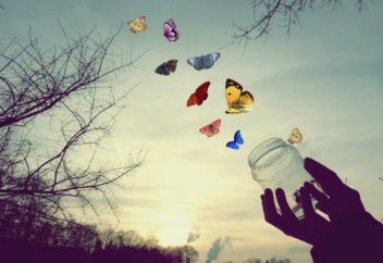 Тонкая грань между искренностью и показным