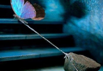 Нәпсіні қалай тәрбиелейміз?