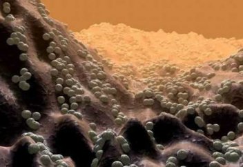 Бактерияны басқаша жолмен жоятын антибиотик табылды