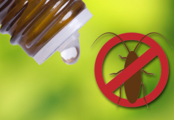 Эксперт рассказал, как безопасно травить насекомых