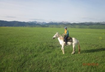 Дігідік-дігідік шабамын... (видео)