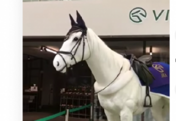 Жапониядағы робот тірі жылқыдан аумайды (видео)