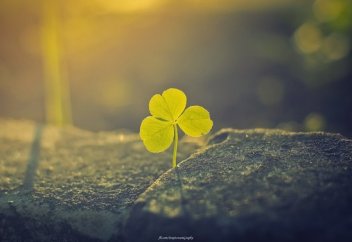 НАМАЗҒА ҚАТЫСТЫ ЖИІ ҚОЙЫЛАТЫН СҰРАҚТАР