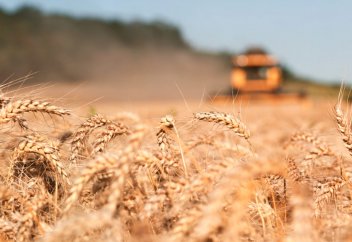 Шаруаларға суды үнемдеуге мүмкіндік беретін технология пайда болды