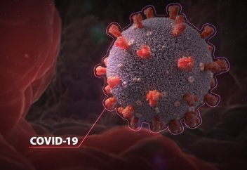 Контрабанда из Китая заразна? Границы ЦА – проходной двор?