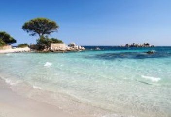 Саудия королі үшін суға түсірмеуі мүмкін