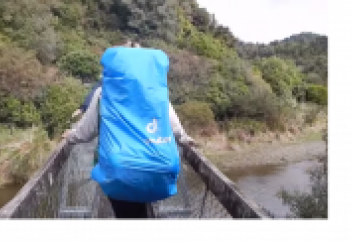 Көпірден құлаған туристер жайындағы видеоны тамашалағандар қарасы рекордтық көрсеткішке жетті