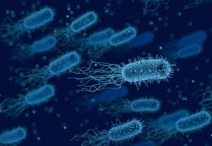 Антибиотикке төзімді бактерияны жоюдың тағы бір тың тәсілі табылды