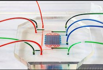 Донорлық қанды алмастырудың жаңа тәсілі пайда болды