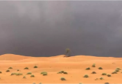 В ОАЭ вызывают дождь при помощи дронов