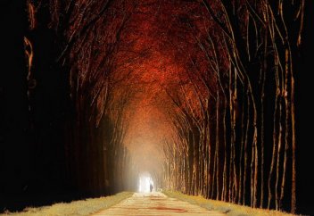 Тағ­дыр­ға иман