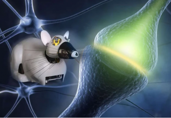 Роботы: Будущее рядом: роботы из биологических тканей