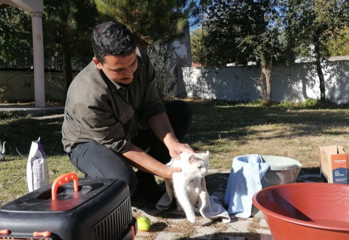 Турецкий имам учит людей милосердию с помощью кошек
