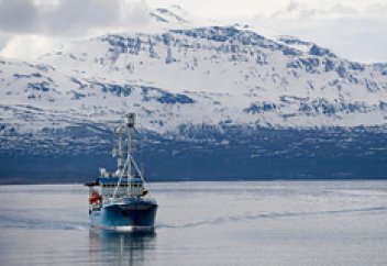 Жаһандық жылынуды микробпен тоқтататын тәсіл табылды