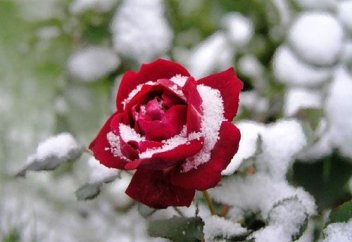 Ұлт мұрасы һәм діндарлық