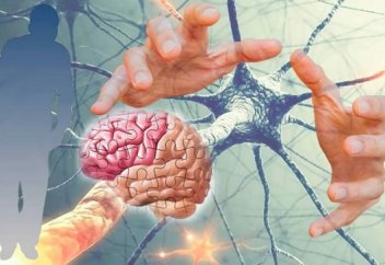 Альцгеймер, Паркинсон ауруларын тоқтатын тәсіл табылды