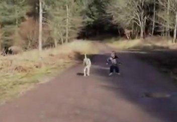 Кейде маңызды істер шыққанда қалғаны күте тұрады!