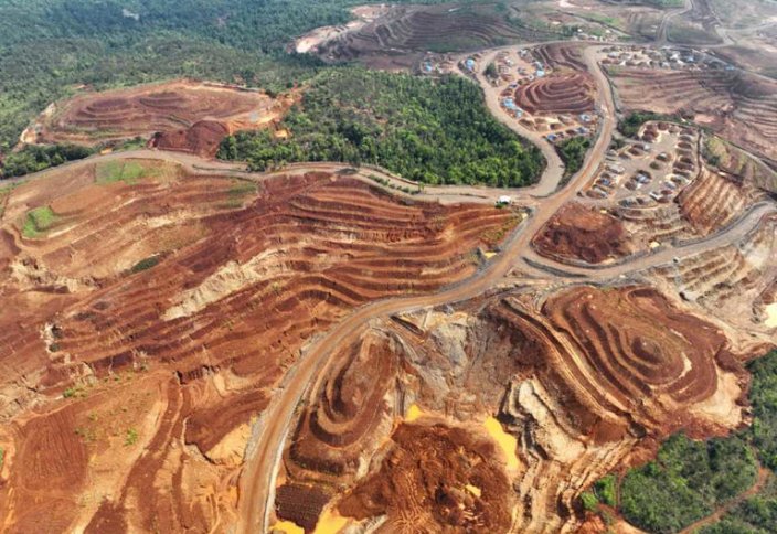 Добыча никеля угрожает коралловому раю в Индонезии, предупреждают НПО