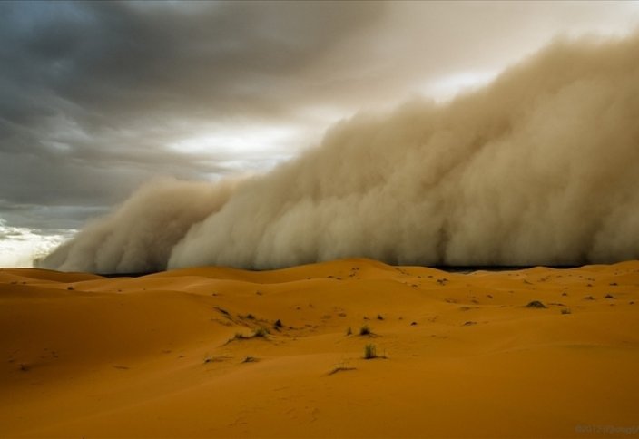 Сахара засыпает все песком и делает жизнь невыносимой: как остановить пустыню (фото)