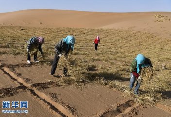 Қытайлар шөлейттенуге қарсы қалай күреседі
