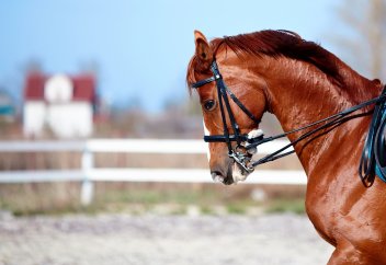 Жанақ ақынның қабыл болған дұғасы